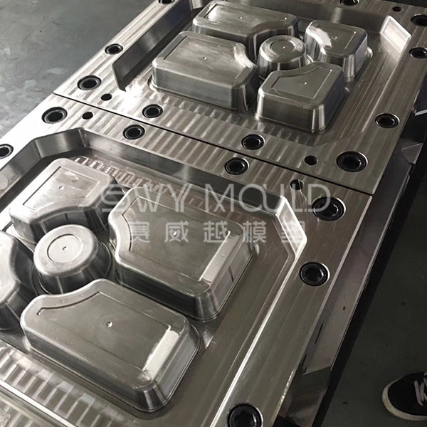 Plastic Divided Meal Box Mould