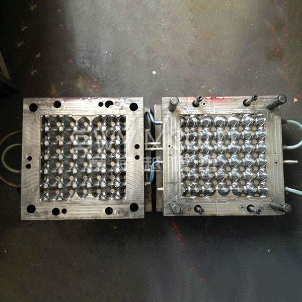 Plastic Egg Tray Mould