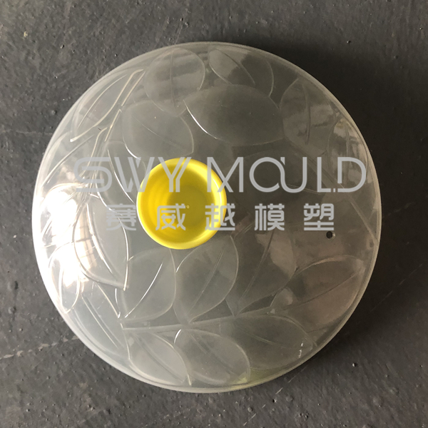 Plastic Dish Cover Mould