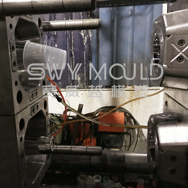 THIN WALL MOULD By taizhou rhein mould company